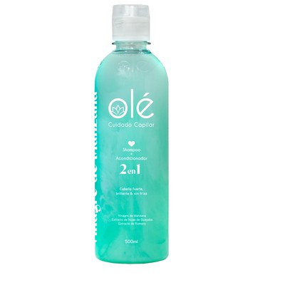 Shampoo dual 500 ml